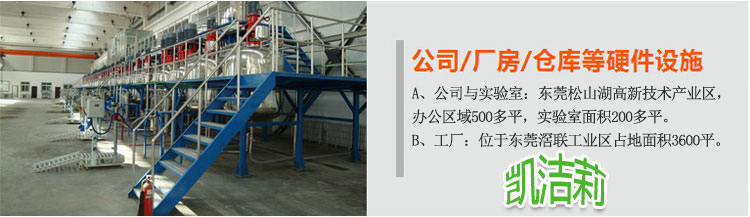 凱潔莉洗衣粉洗滌劑生產(chǎn)設(shè)備